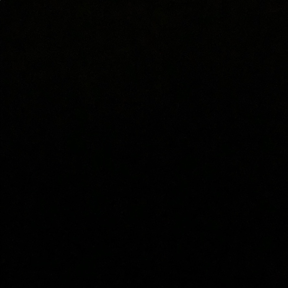 Meet your Posher, Cheyenne